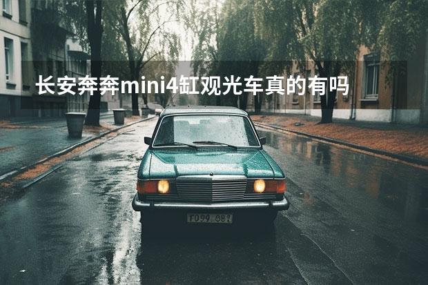 长安奔奔mini4缸观光车真的有吗？是真的不用挂牌照吗？