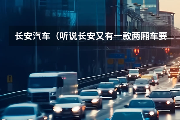 长安汽车（听说长安又有一款两厢车要上市，是啥样的啊？）