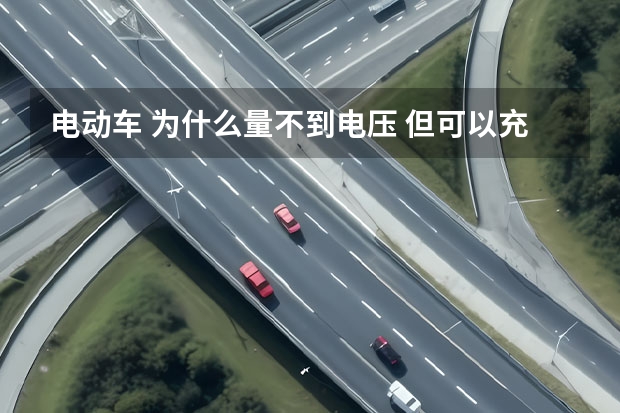 电动车 为什么量不到电压 但可以充电