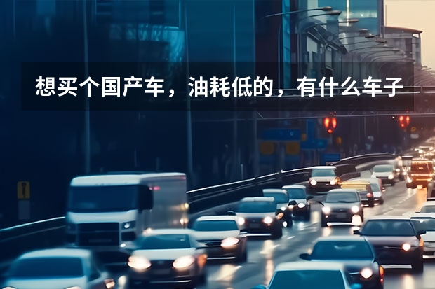 想买个国产车，油耗低的，有什么车子可以推荐给我