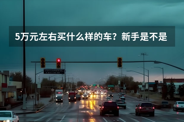 5万元左右买什么样的车？新手是不是该买个二手车练手啊？有什么车好看又皮实吗？