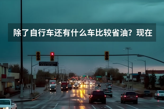 除了自行车还有什么车比较省油？现在需求一辆家庭用车，不知道买啥好。