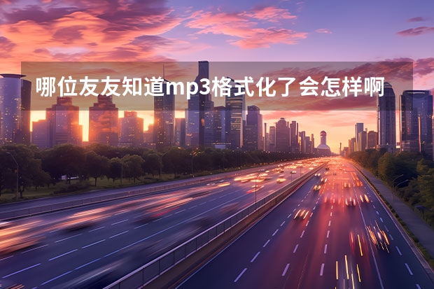 哪位友友知道mp3格式化了会怎样啊？ 汽车从达州到福建石狮的路线