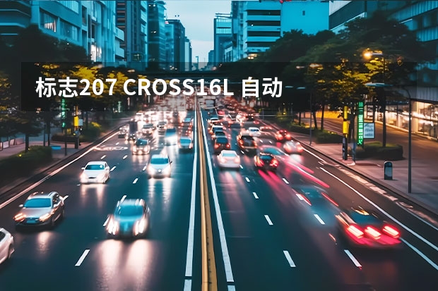 标志207 CROSS1.6L 自动 驭乐型 
长城 M2 1.5自动 两驱 都市版 
致炫 1.3自动 魅动版

裸车价是多少