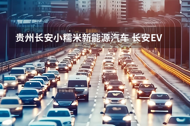 贵州长安小糯米新能源汽车 长安EV奔奔续航能达到210公里么？