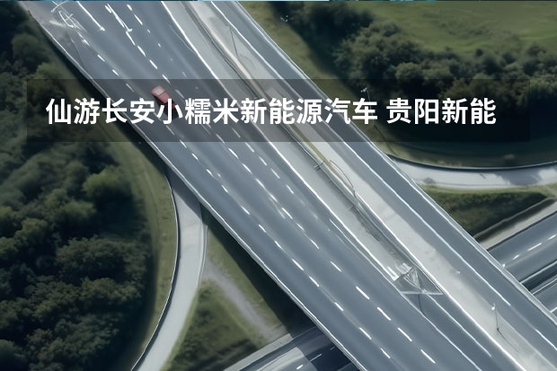 仙游长安小糯米新能源汽车 贵阳新能源汽车补贴