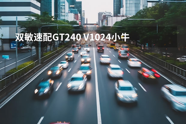 双敏速配GT240 V1024小牛版重要参数（双敏速配2 GT220 V512小牛版重要参数）