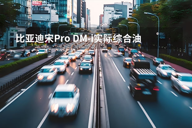 比亚迪宋Pro DM-i实际综合油耗怎么样？一年的养车费大概是多少？