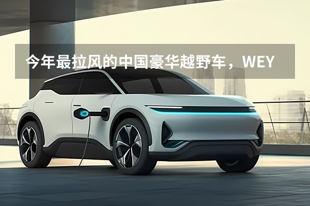 今年最拉风的中国豪华越野车，WEY坦克300上市售价17.58万起 WEY坦克300 即将上市定位于紧凑型硬派越野车 整体挺唬人