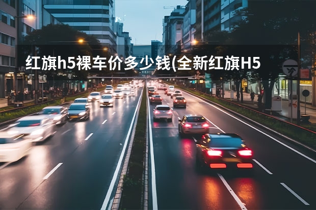 红旗h5裸车价多少钱(全新红旗H5最值得买的配置)