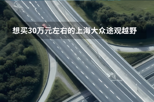 想买30万元左右的上海大众途观越野车和福特越野车那个性价比更高 40万越野车排行榜（40万左右的车排行榜）