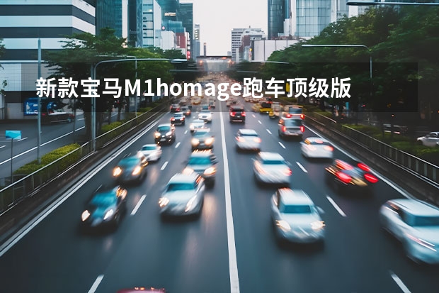 新款宝马M1homage跑车顶级版多少钱?