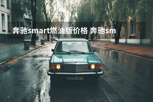 奔驰smart燃油版价格 奔驰smart油车多少钱