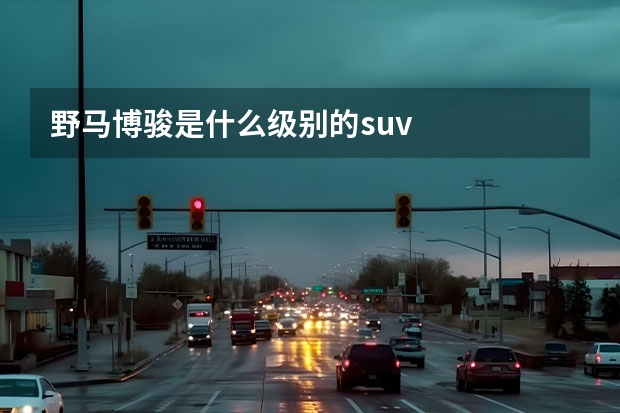 野马博骏是什么级别的suv