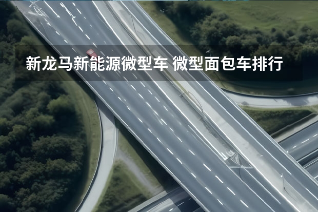 新龙马新能源微型车 微型面包车排行榜