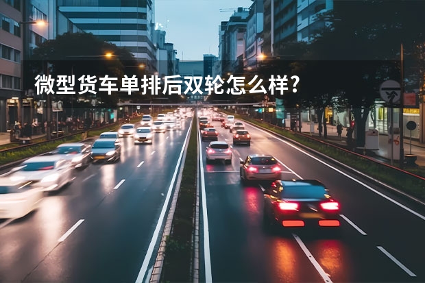 微型货车单排后双轮怎么样?