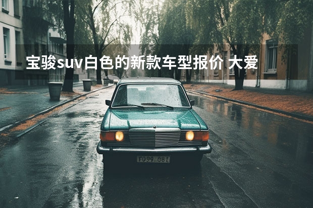 宝骏suv白色的新款车型报价 大爱SUV，款宝骏530看车记，优雅低奢