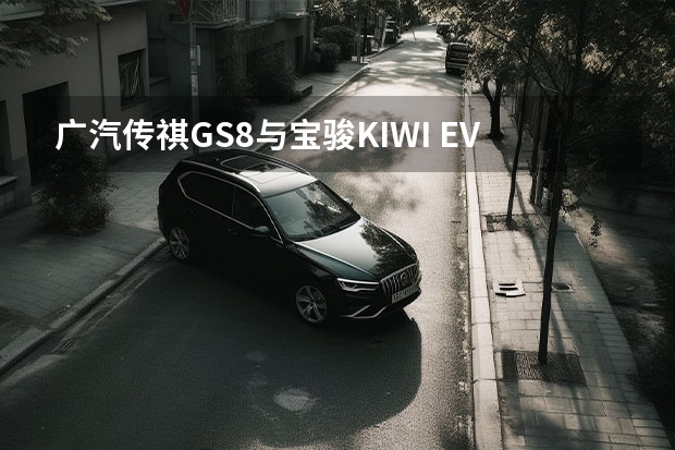 广汽传祺GS8与宝骏KIWI EV，这有可比性吗？