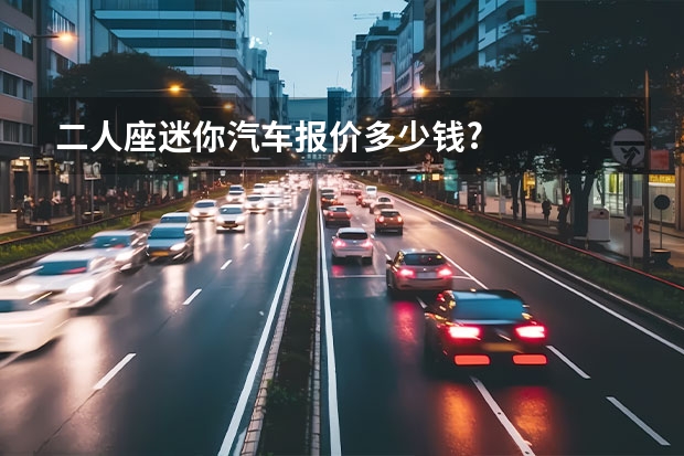 二人座迷你汽车报价多少钱?