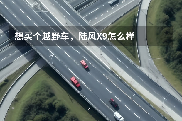 想买个越野车，陆风X9怎么样