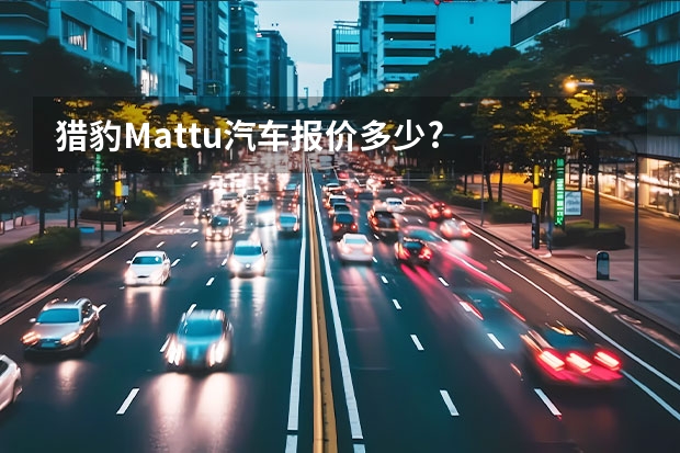 猎豹Mattu汽车报价多少?