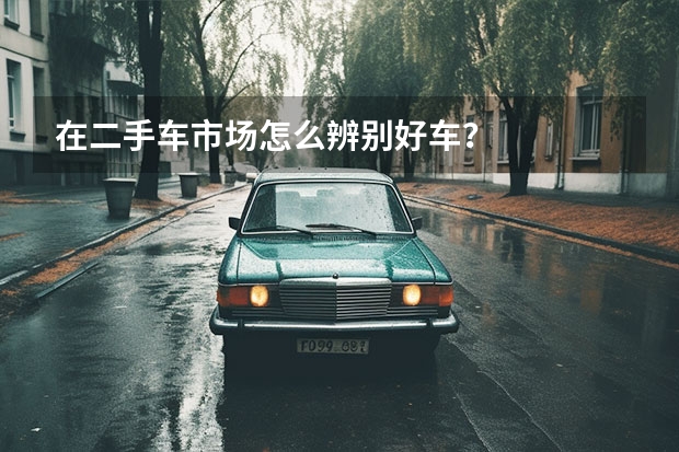 在二手车市场怎么辨别好车？