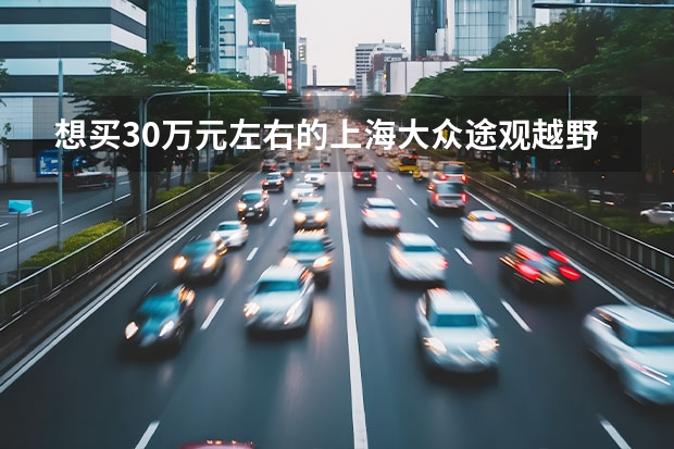 想买30万元左右的上海大众途观越野车和福特越野车那个性价比更高（我在上海车展看越野车）