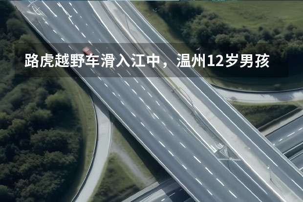 路虎越野车滑入江中，温州12岁男孩划桨板救回两人，他采用的是什么方式？