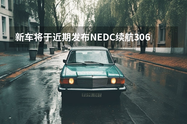 新车将于近期发布/NEDC续航306km 或在中国设计与制造/预计售价16万元