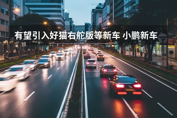 有望引入好猫右舵版等新车 小鹏新车预告图曝光