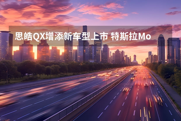 思皓QX增添新车型上市 特斯拉Model