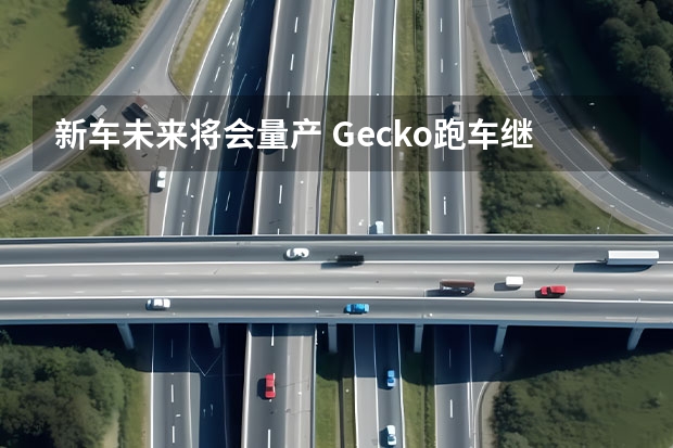 新车未来将会量产 Gecko跑车继续开发