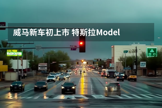 威马新车初上市 特斯拉Model