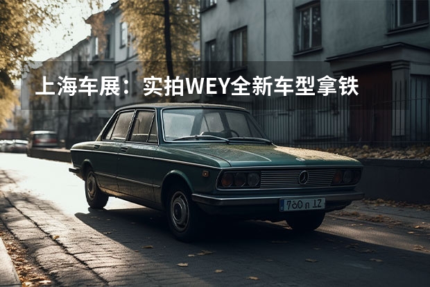 上海车展：实拍WEY全新车型拿铁 日产汽车2030愿景战略发布