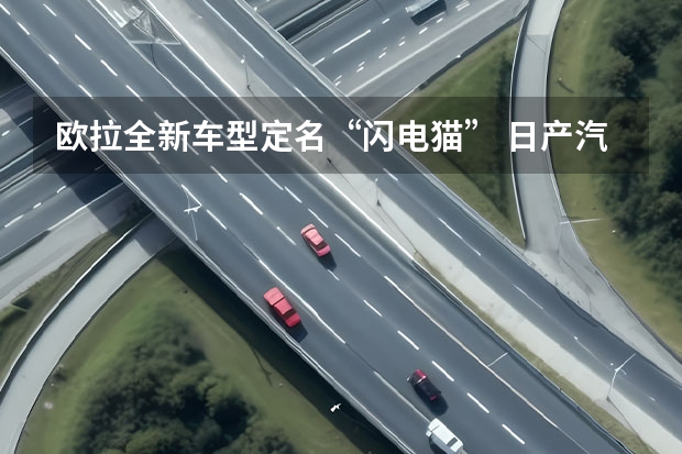 欧拉全新车型定名“闪电猫” 日产汽车2030愿景战略发布