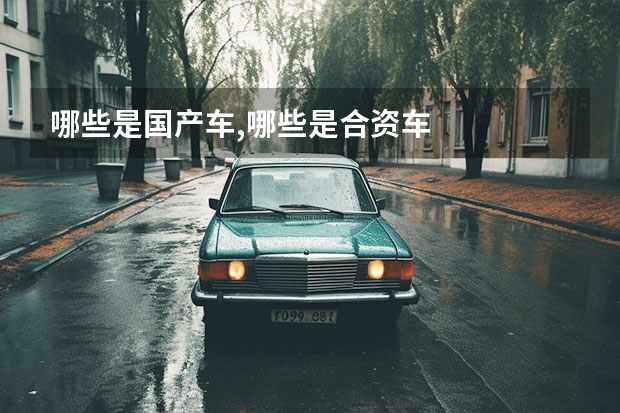 哪些是国产车,哪些是合资车