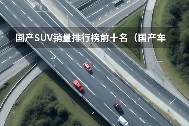 国产SUV销量排行榜前十名（国产车排行榜前十名SUV）