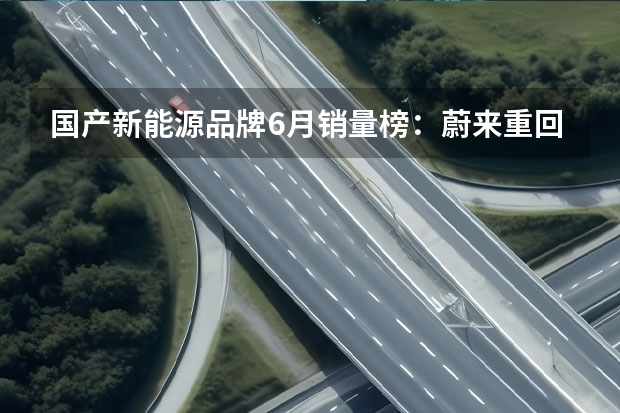 国产新能源品牌6月销量榜：蔚来重回万辆，理想破3万大关（没有10万级车型 理想也不可能每年卖出160万辆）