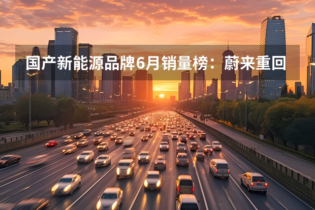 国产新能源品牌6月销量榜：蔚来重回万辆，理想破3万大关（理想2023Q2业绩炸裂，交付、营收同比增长均超200％）