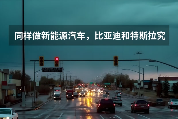 同样做新能源汽车，比亚迪和特斯拉究竟有什么差距？