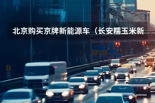 北京购买京牌新能源车（长安糯玉米新能源价格2023）