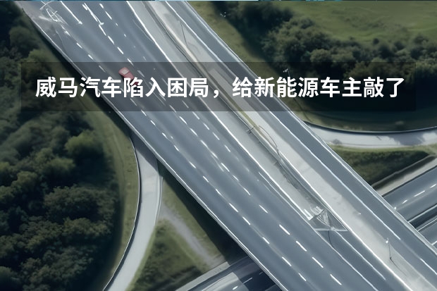 威马汽车陷入困局，给新能源车主敲了警钟，买小众新能源车要三思 威马新能源汽车ex5的价格及相关信息介绍