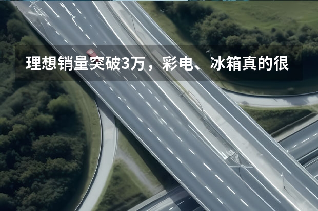 理想销量突破3万，彩电、冰箱真的很受欢迎？ 车企年度销量盘点，仅比亚迪、理想、吉利、岚图完成年度目标