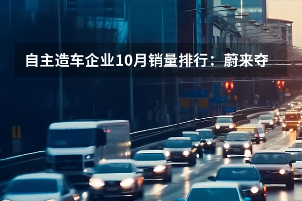 自主造车企业10月销量排行：蔚来夺冠，理想第二，小鹏破三千辆 宏光MINI创2万销量神话/欧拉黑猫持续高涨 10月销量点评