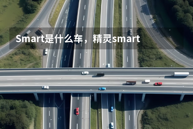 Smart是什么车，精灵smart是什么车