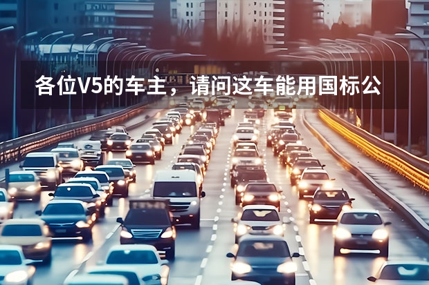 各位V5的车主，请问这车能用国标公共桩充电吗？