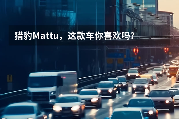 猎豹Mattu，这款车你喜欢吗？