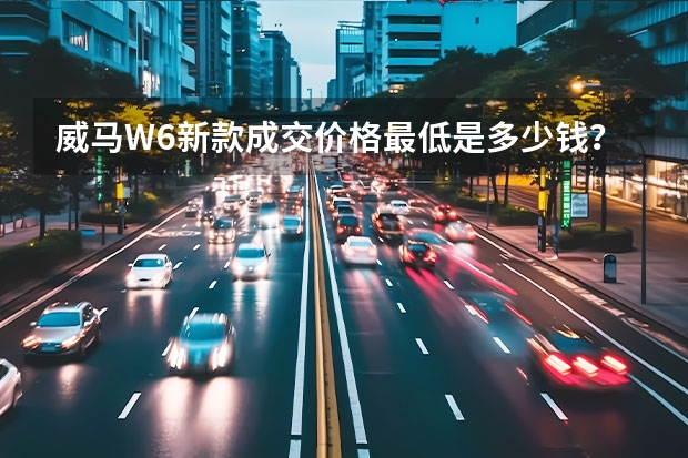 威马W6新款成交价格最低是多少钱？威马W6官方价