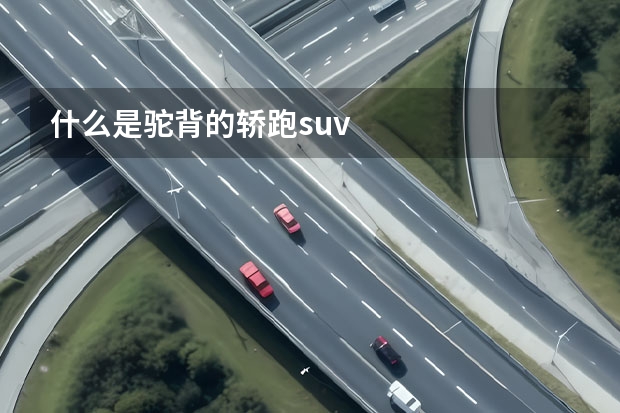 什么是驼背的轿跑suv