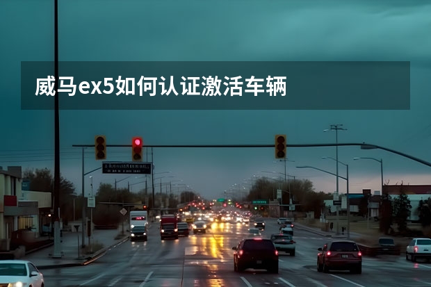 威马ex5如何认证激活车辆